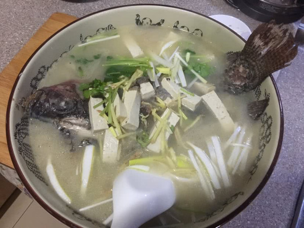 清炖罗非鱼