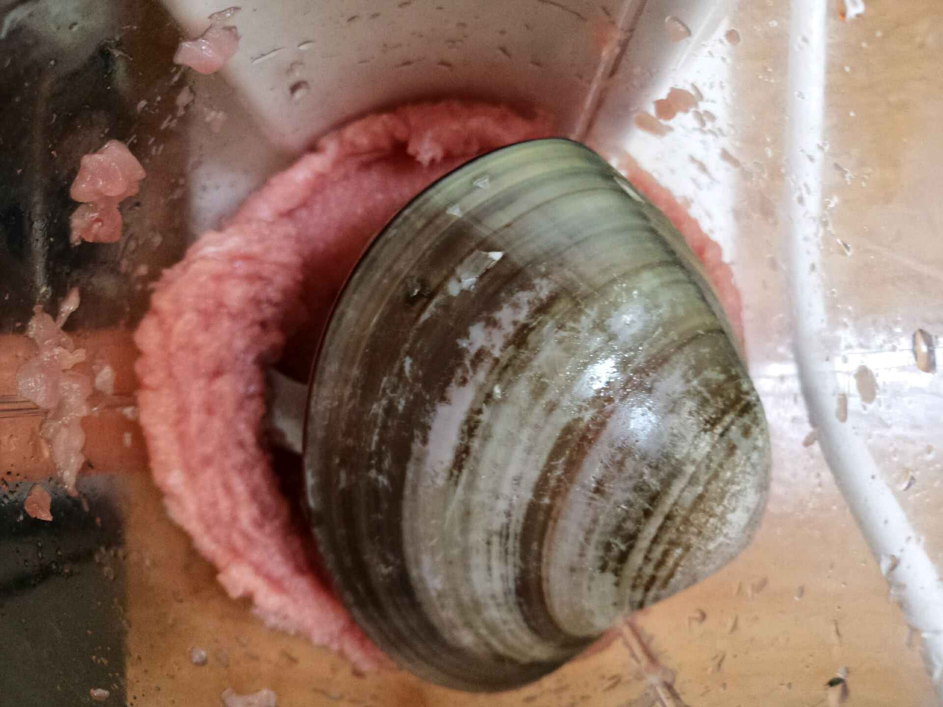 海蚌肉汤(宝宝辅食)