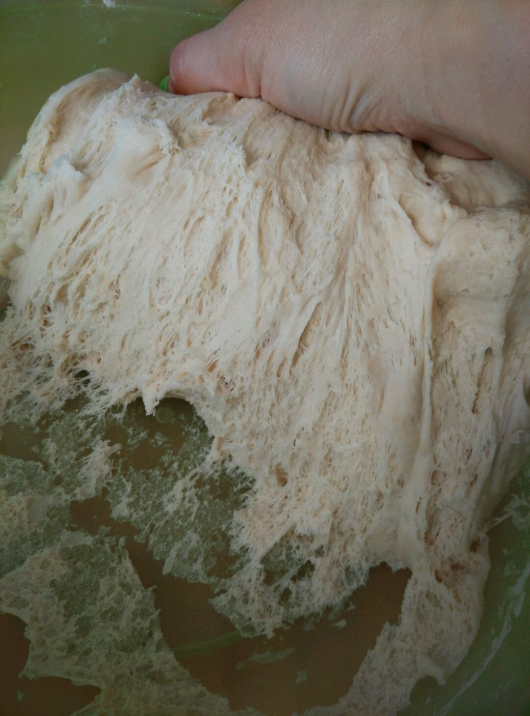 发酵好的面团,里面布满了蜂窝状.