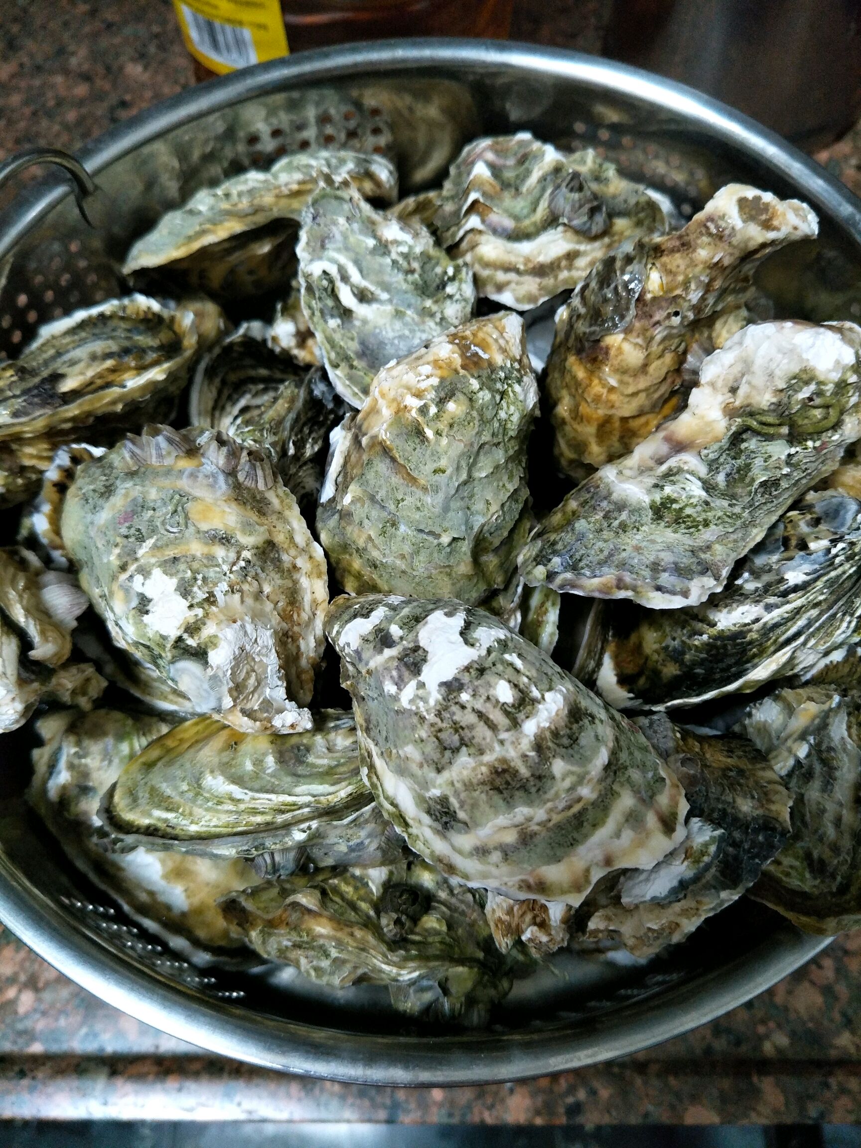清蒸生蚝