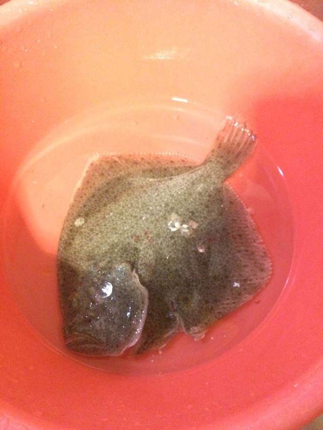小红椒清蒸多宝鱼