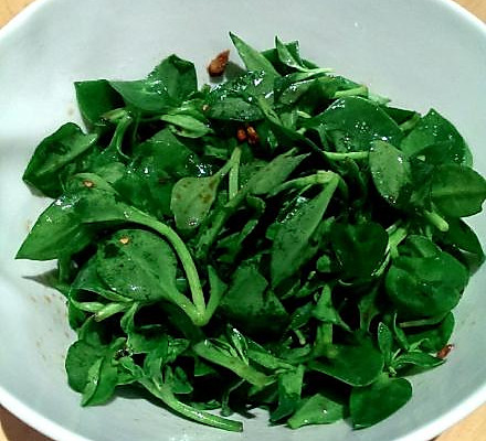 炝拌穿心莲怎么做_炝拌穿心莲的做法_豆果美食