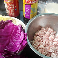 白菜紫甘蓝猪肉饺子的做法图解1