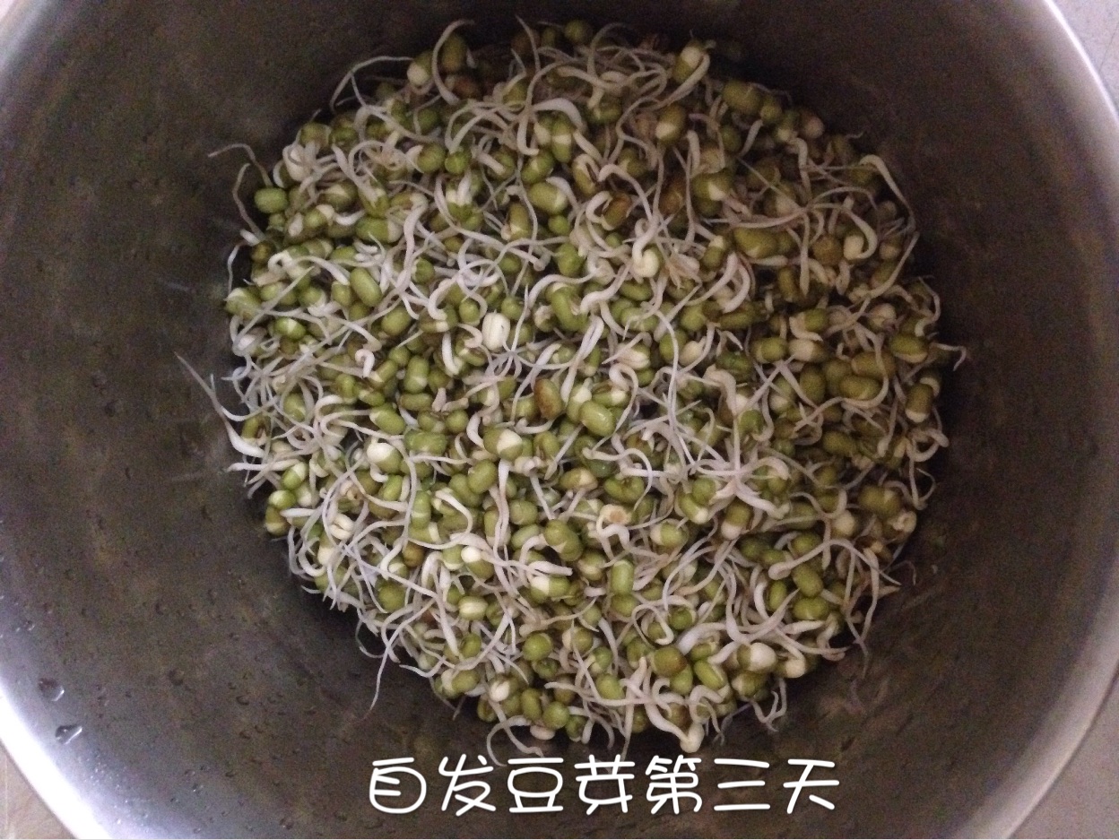 自发豆芽