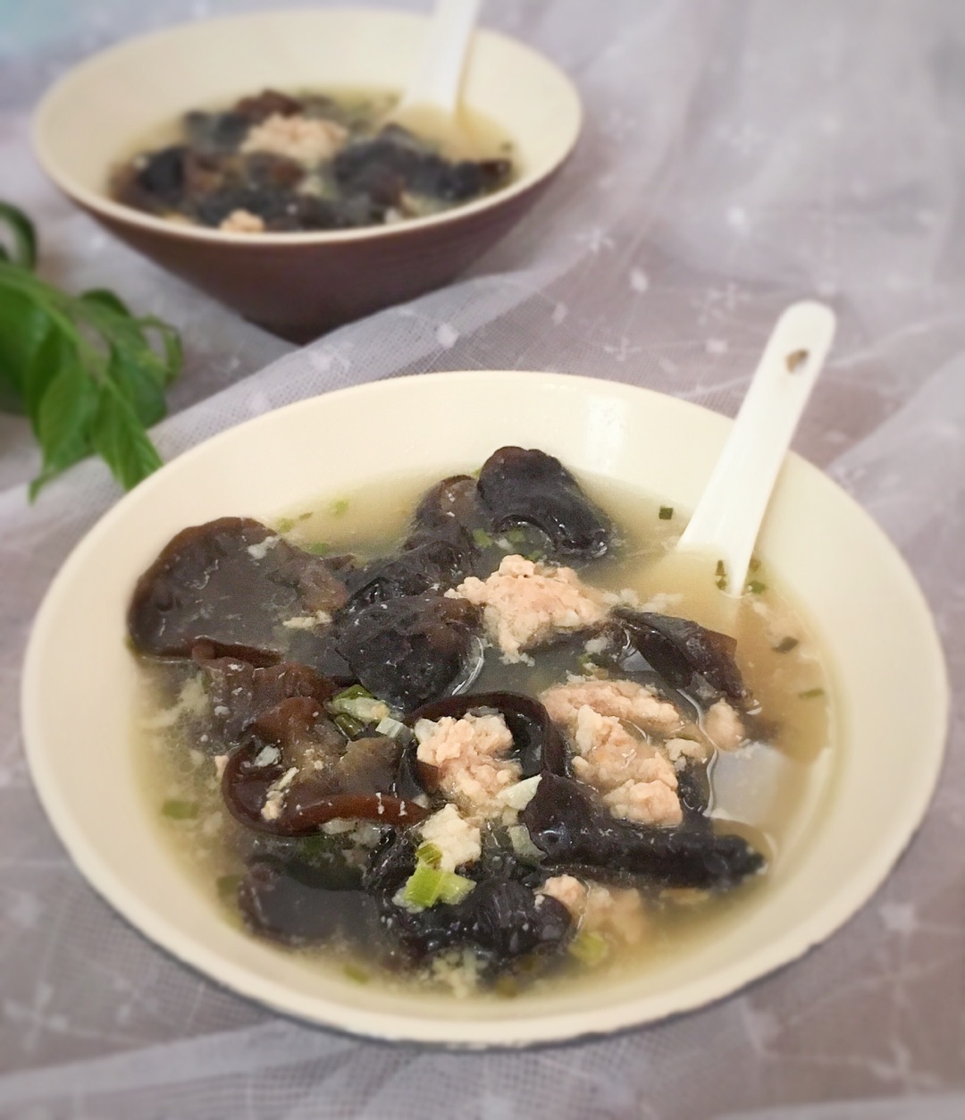 木耳肉末汤