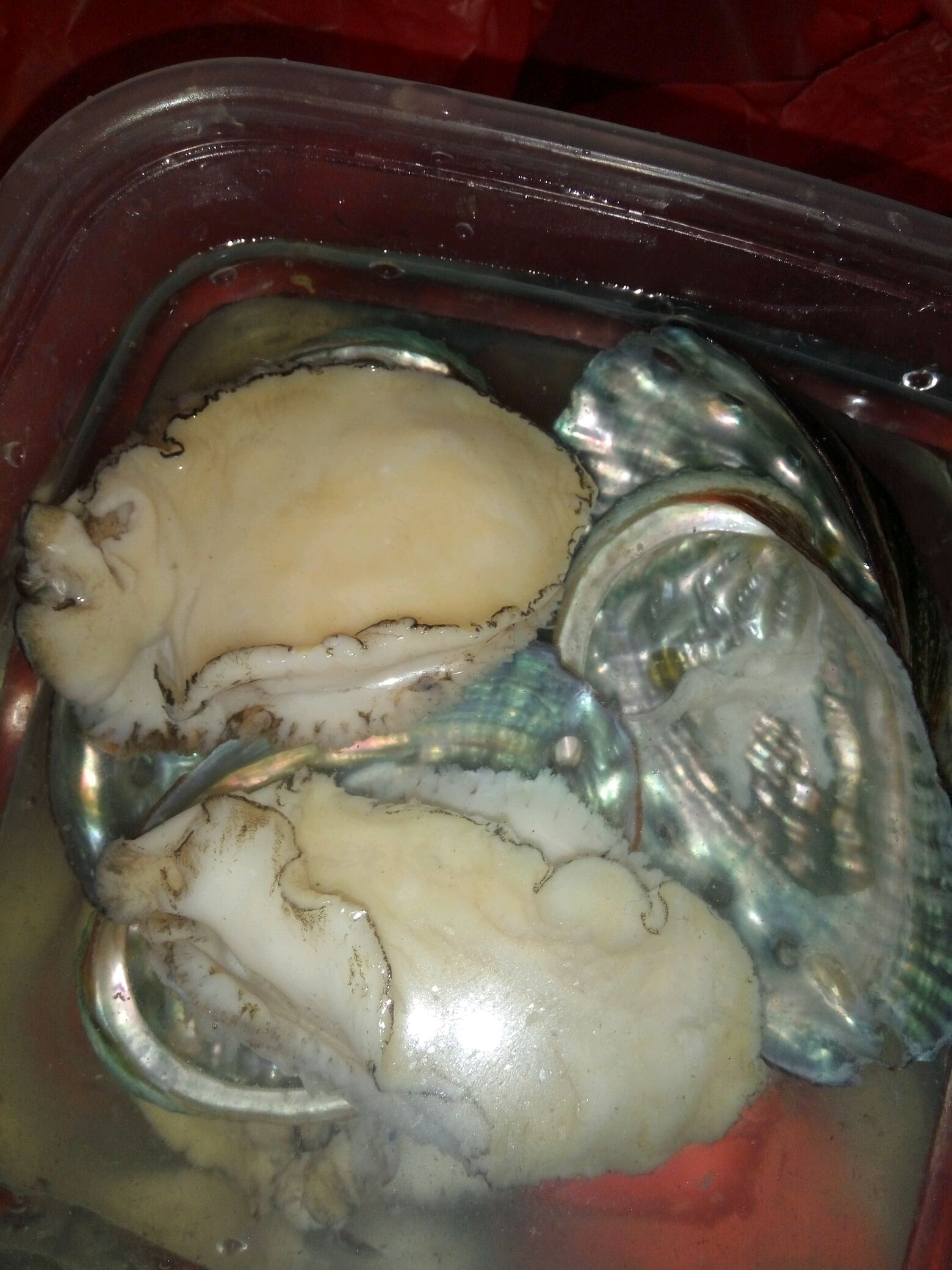 鲍鱼肉码入盘中,撒入盐,黑胡椒粉,花雕酒和鱼露腌渍十五种钟.