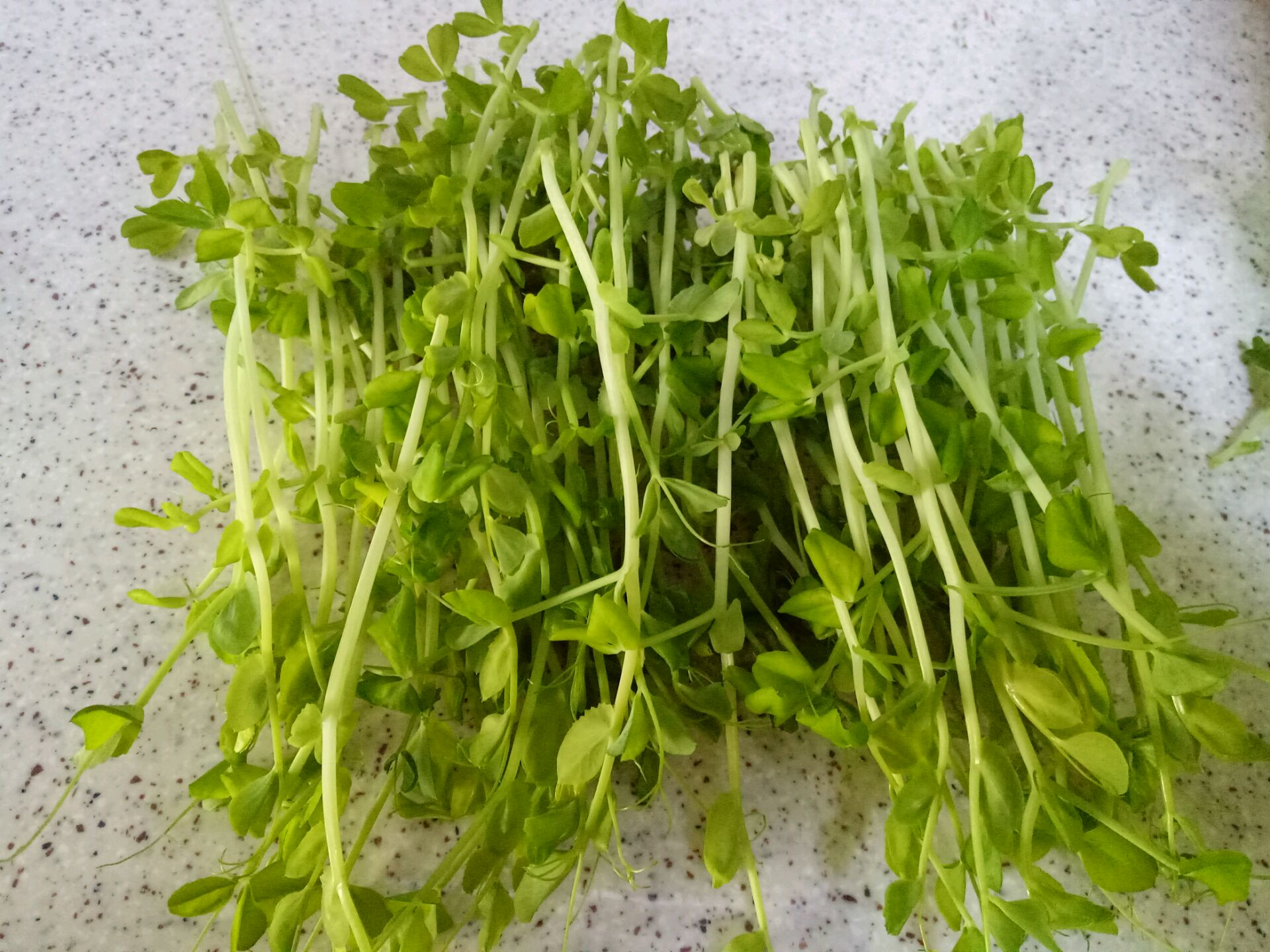 豌豆苗的做法
