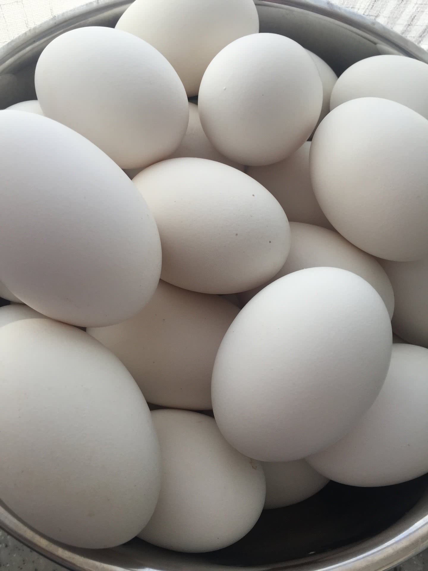 家常鹅蛋怎么做_家常鹅蛋的做法_豆果美食
