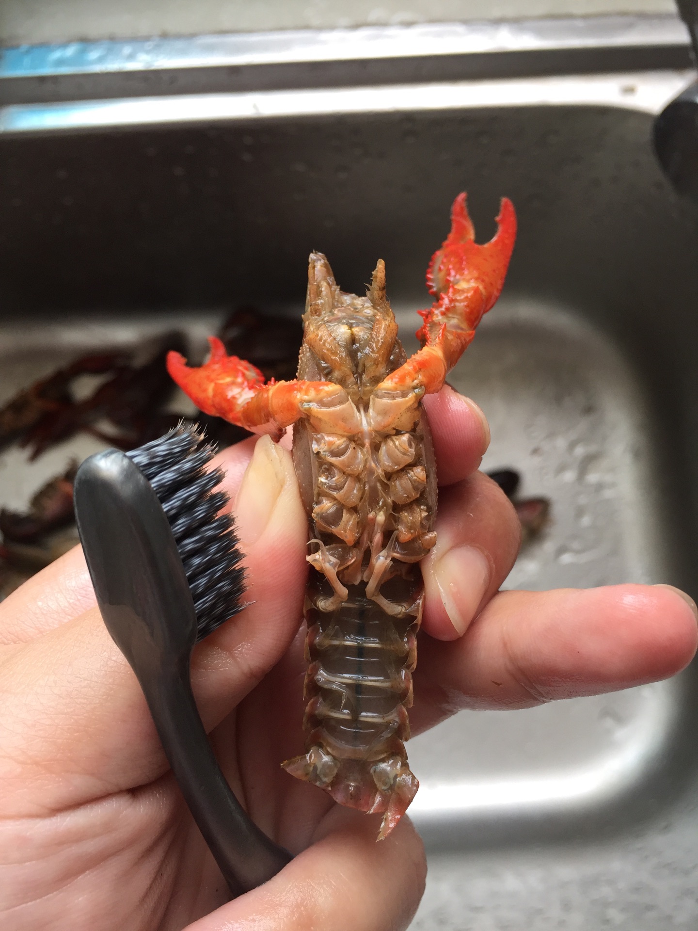 香辣小龙虾