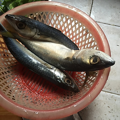 紫苏焖滚子鱼