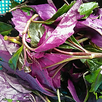 紫背菜汤的做法