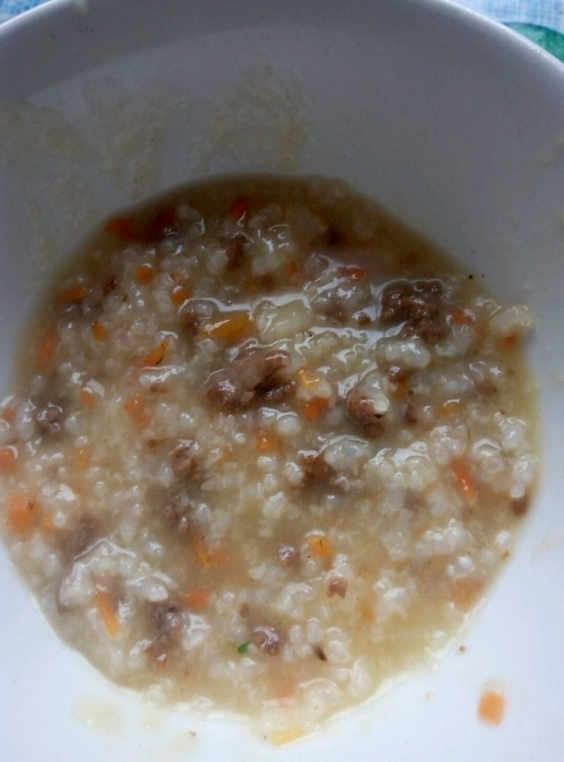 胡萝卜瘦肉粥