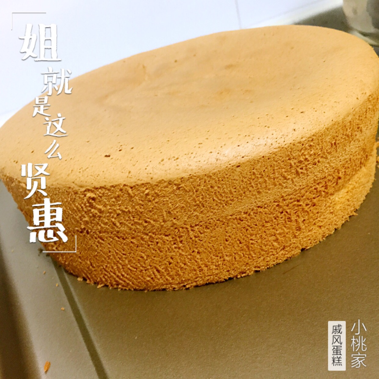 ݷ絰(ʧ8)
