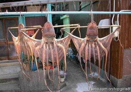 三鲜奶豆腐的做法图解4