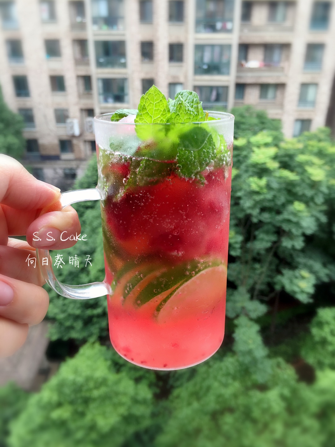 蔓越莓莫吉托(mojito)