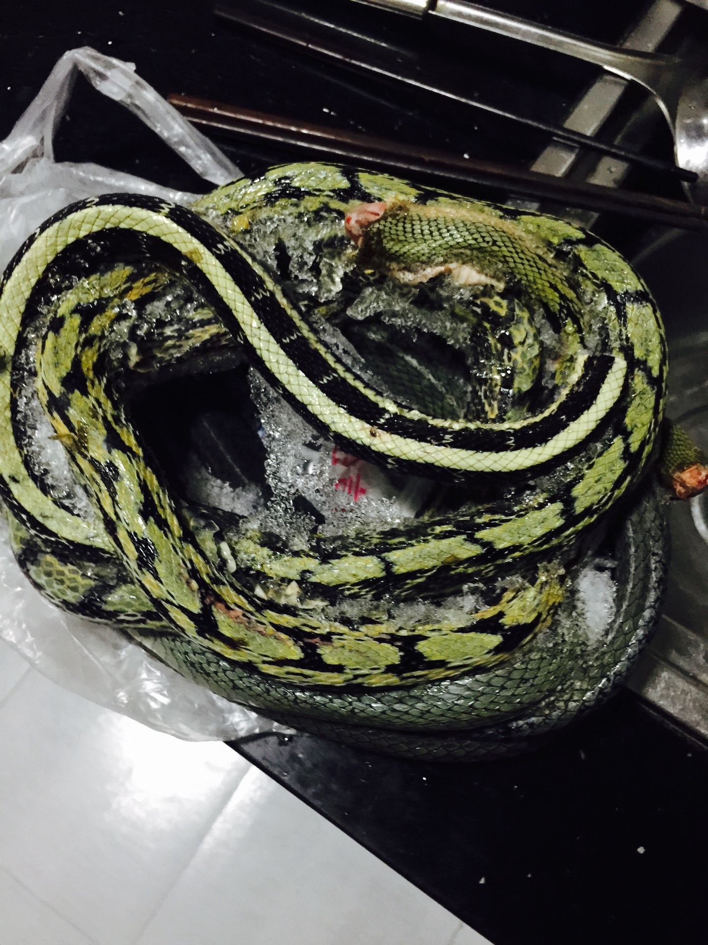 川式卤蛇段