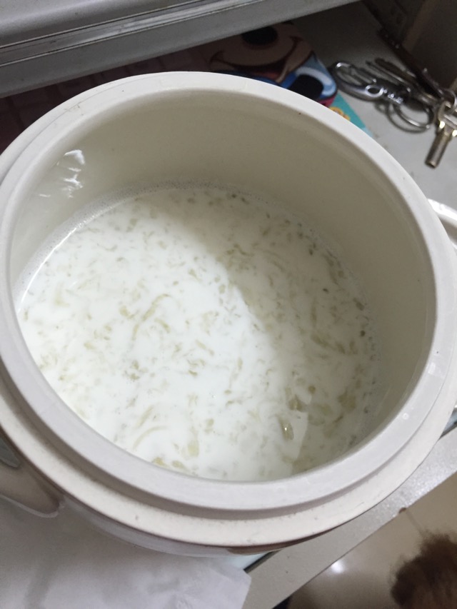 牛奶炖燕窝