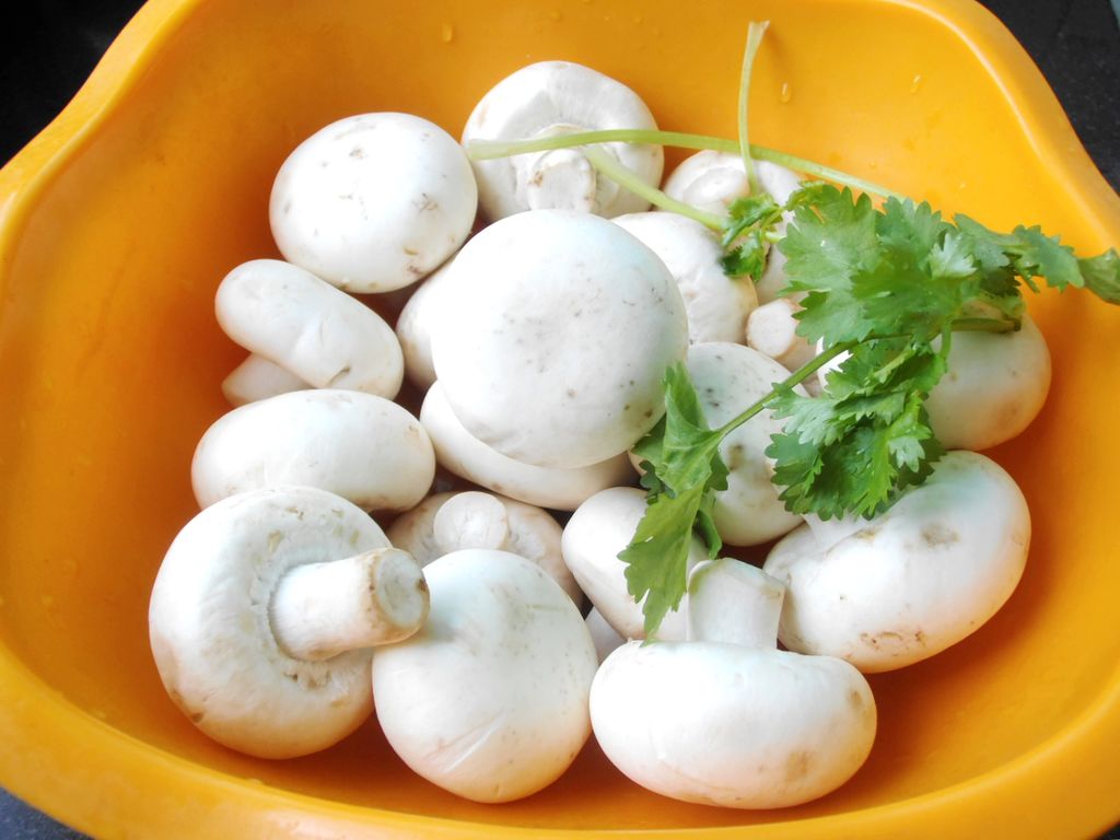芝士焗蘑菇怎么做_芝士焗蘑菇的做法_豆果美食