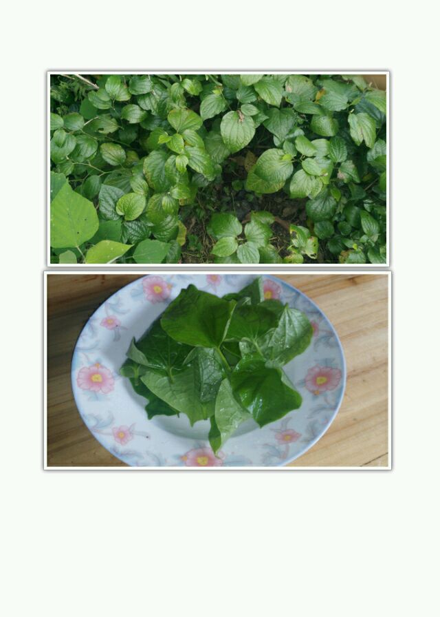 山蒌叶煎蛋
