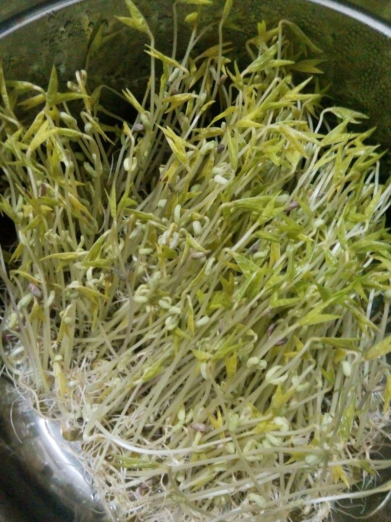 绿豆芽的做法