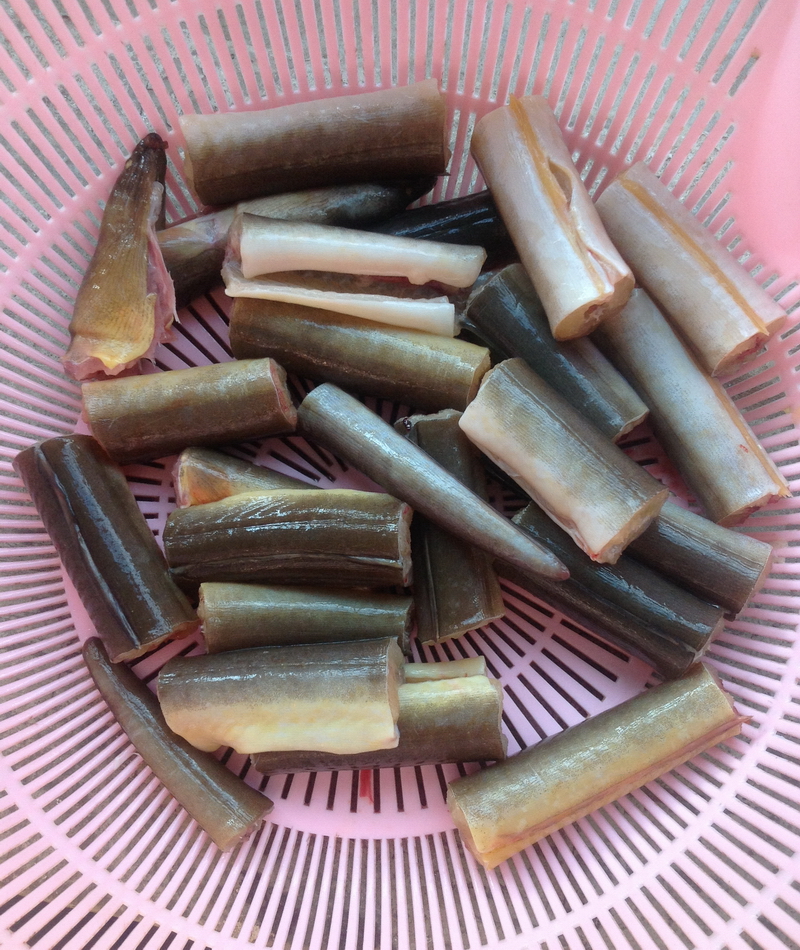 当归"土龙"汤