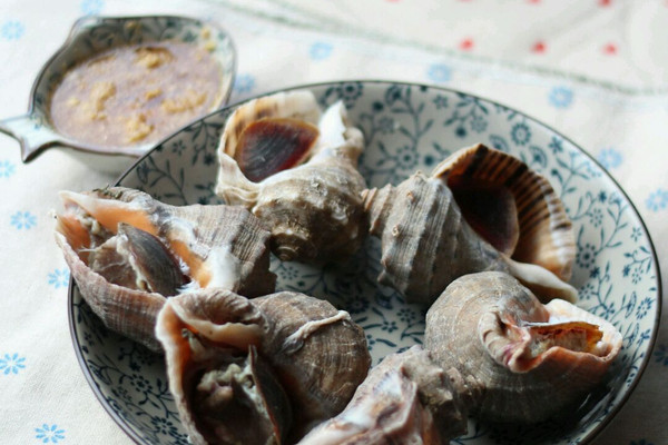 清水煮海螺怎么做_清水煮海螺的做法_豆果美食