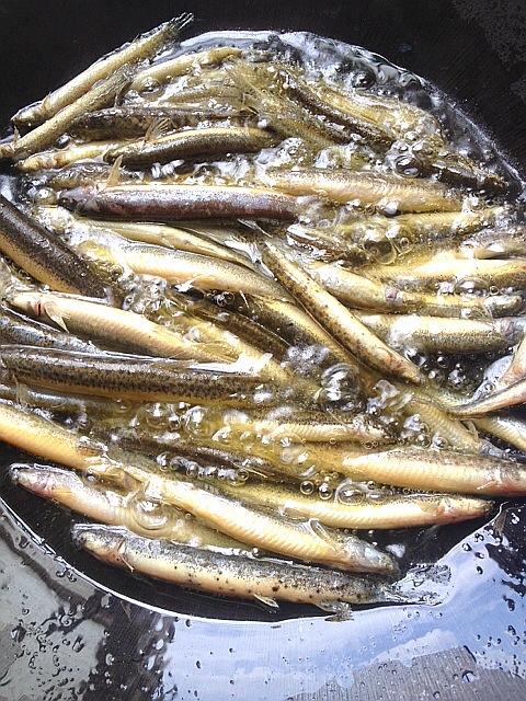 干炸泥鳅闷嫩豆腐的做法