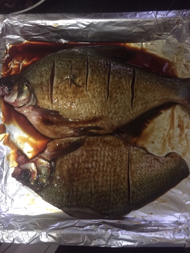 俾
