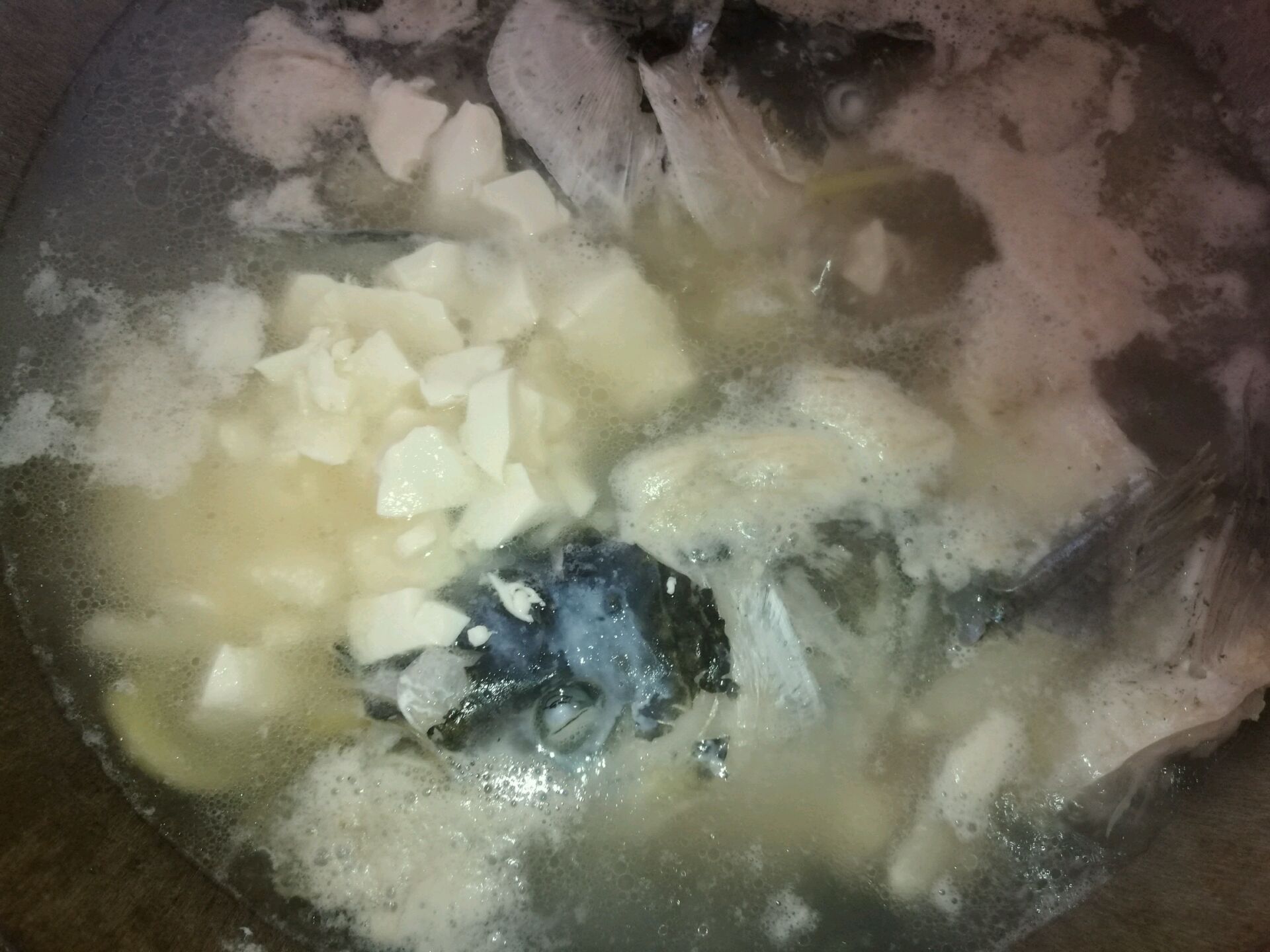 营养与美味并存的奶白色鱼头豆腐汤(花鲢鱼)