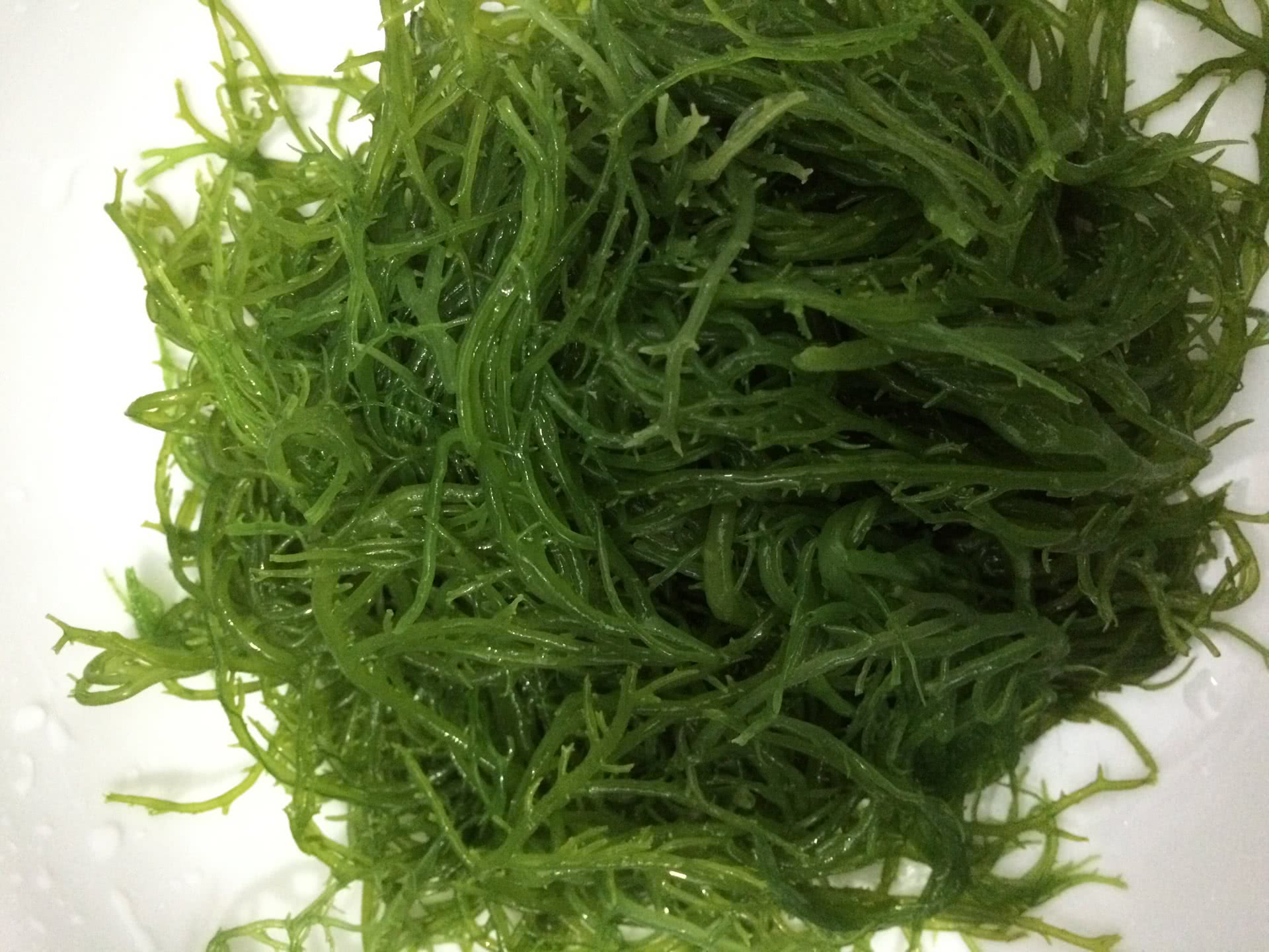 凉拌海藻