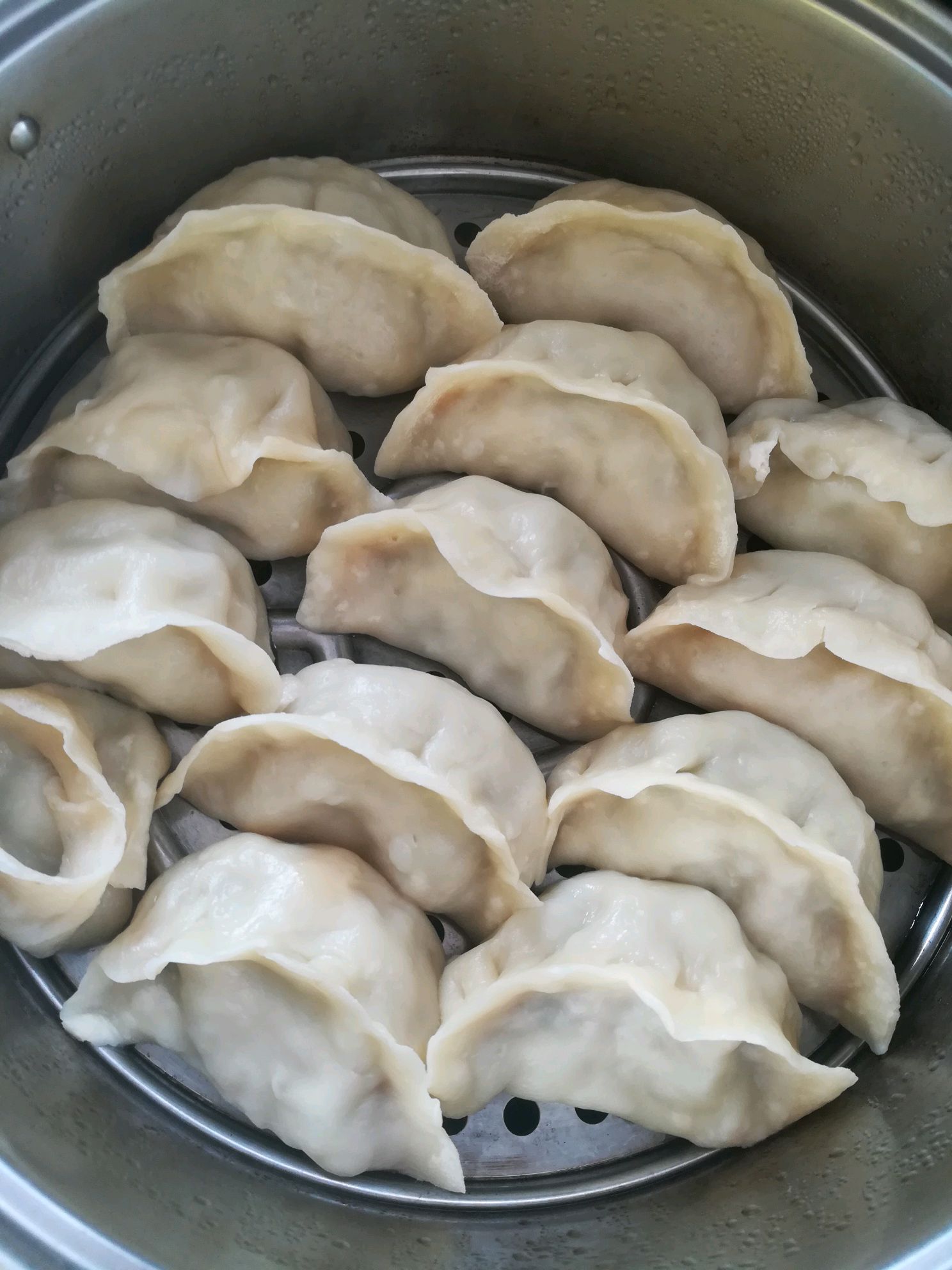 芹菜猪肉馅蒸饺