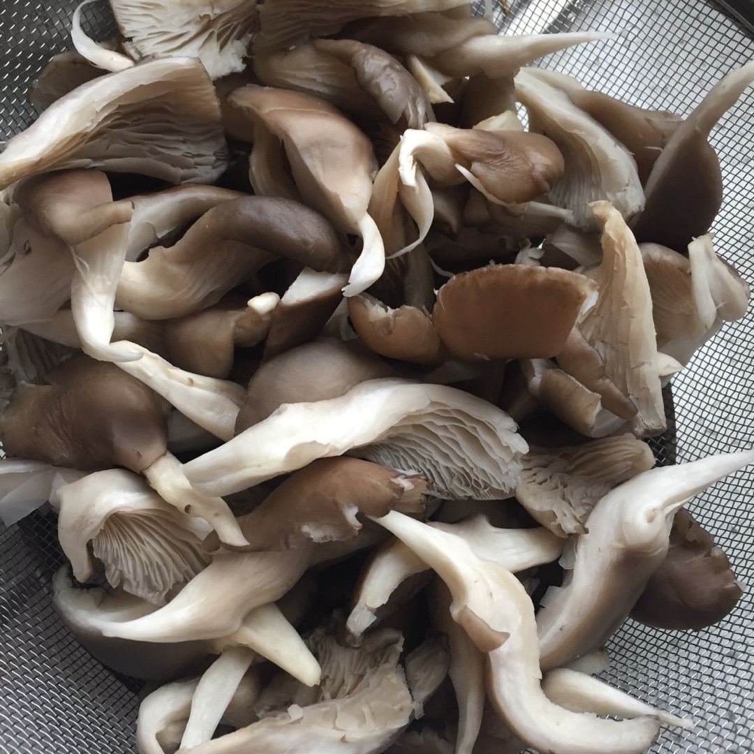 炒平菇怎么做_炒平菇的做法_豆果美食