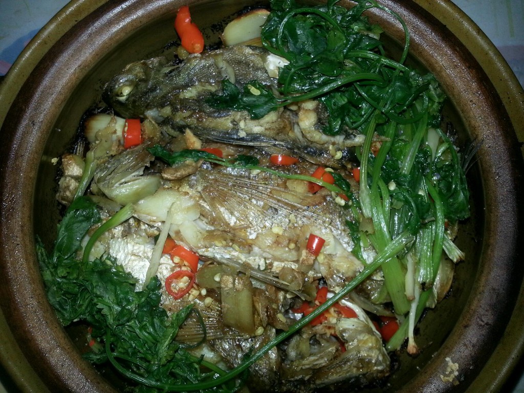 经典的川味家常菜，好吃解馋的藤椒鱼，做法通通告诉你