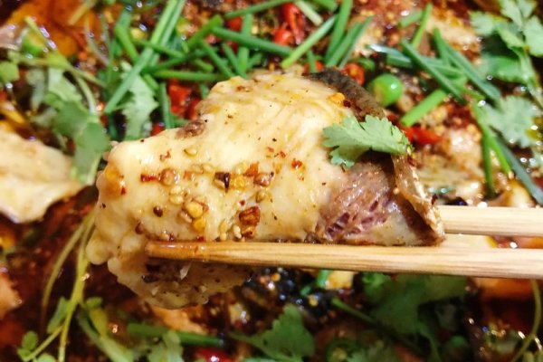 川味水煮鱼(附鱼片切法)的做法_【图解】川味