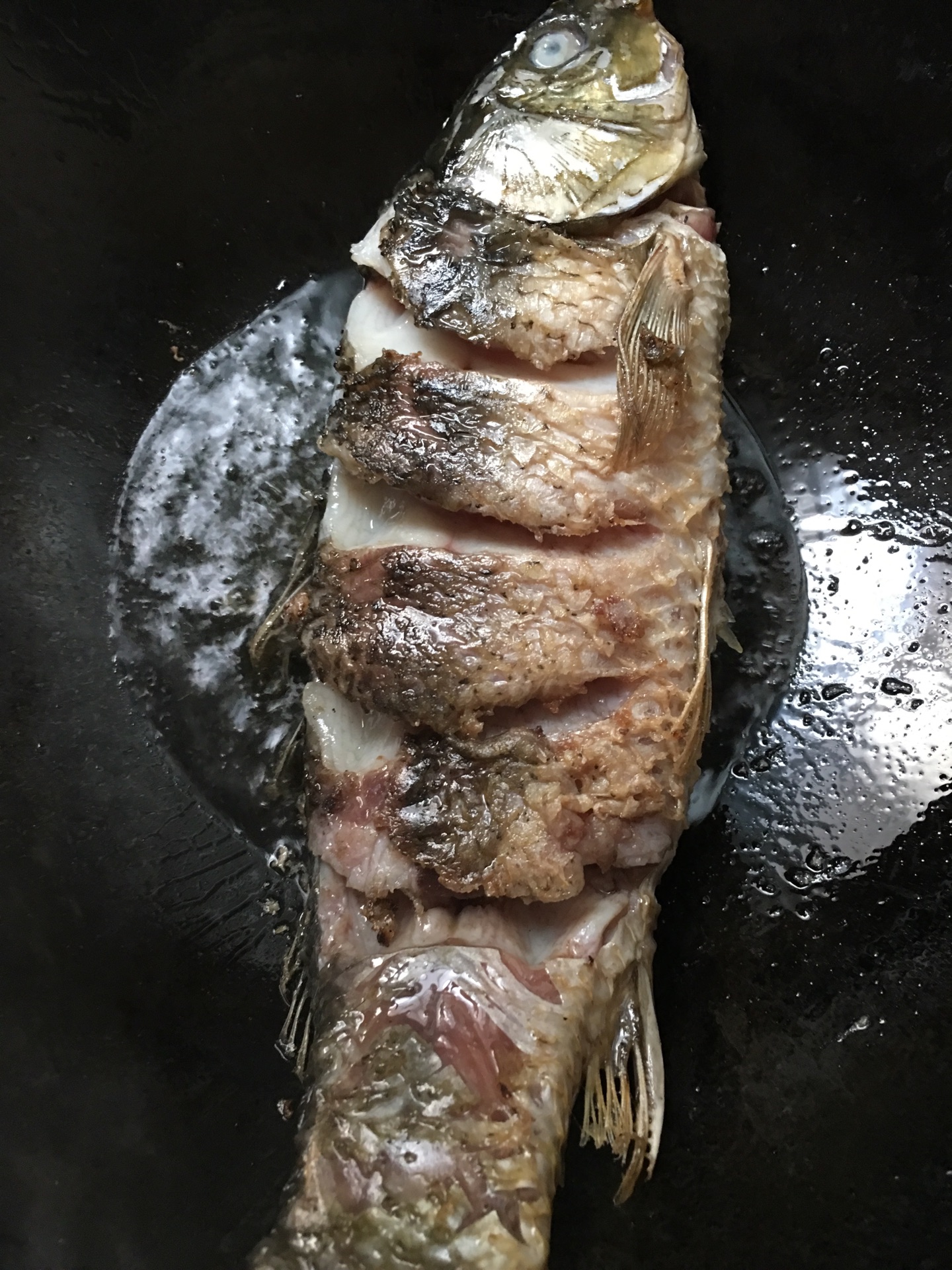 完全烧焦的鱼图片,煎糊了的鱼图片,鱼的图片_大山谷图库