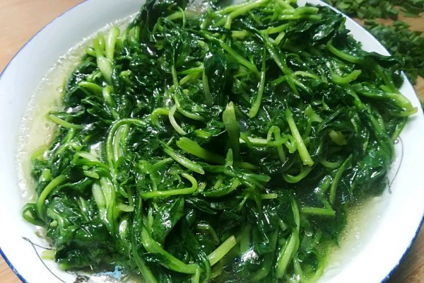 小炒青菜(有机无公害小青菜)
