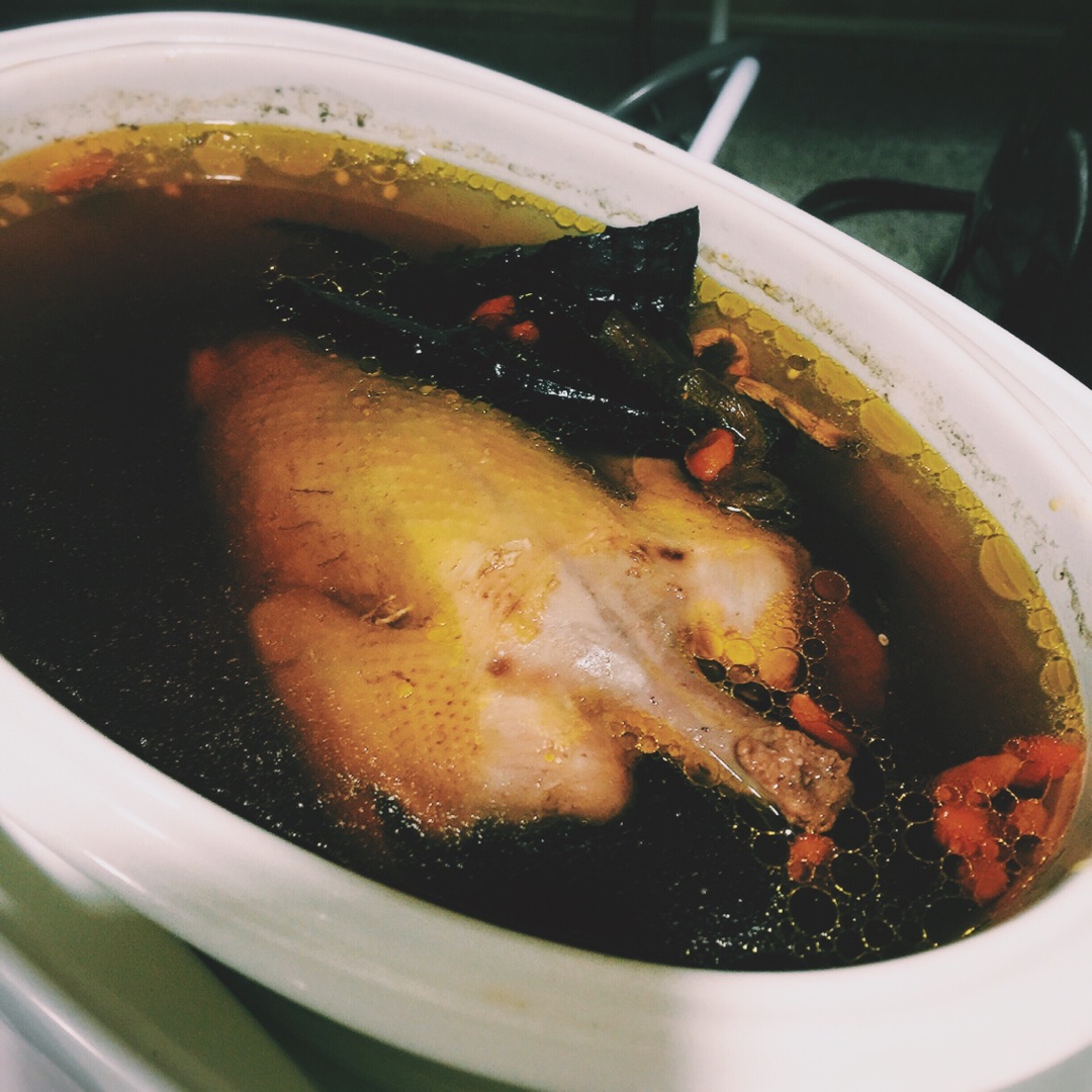 蜜蜂成语日历汤灵芝看着乳鸽是什么石斛图片