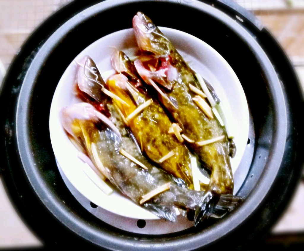 清蒸黄鱼怎么做_清蒸黄鱼的做法_豆果美食