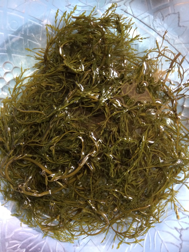 凉拌海草的做法图解1