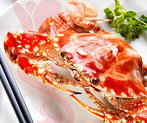 һݲ֮ʽз