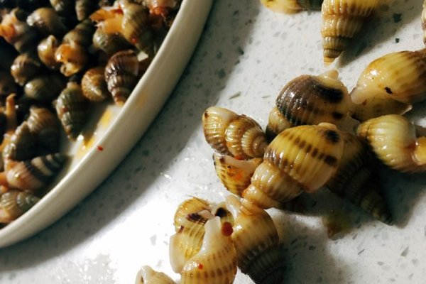 辣炒海锥儿的做法_【图解】辣炒海锥儿怎么做