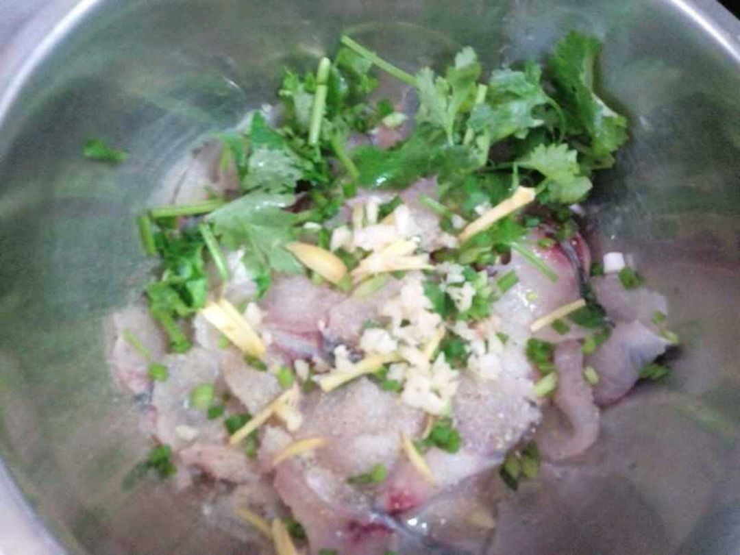 鱼片放料理盆中,放盐,姜蒜末,葱花及香菜段,少许胡椒粉抓匀腌制5分钟