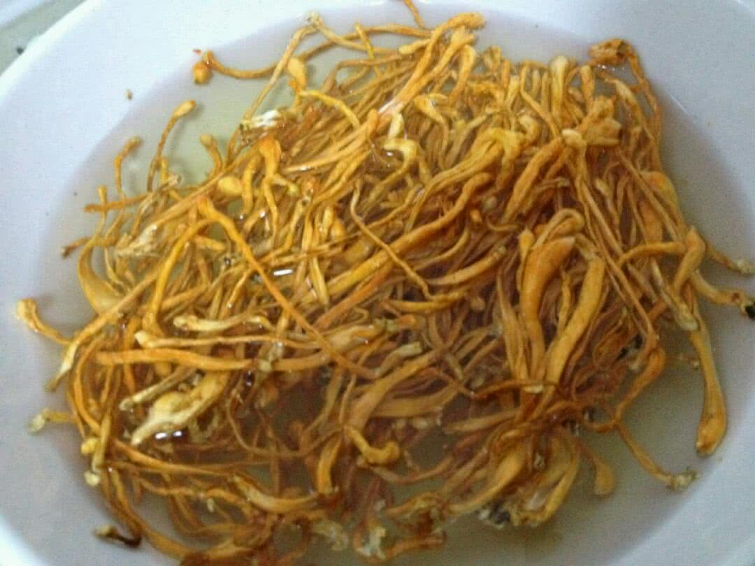 干的虫草花,用冷水泡下就变软了.备用.