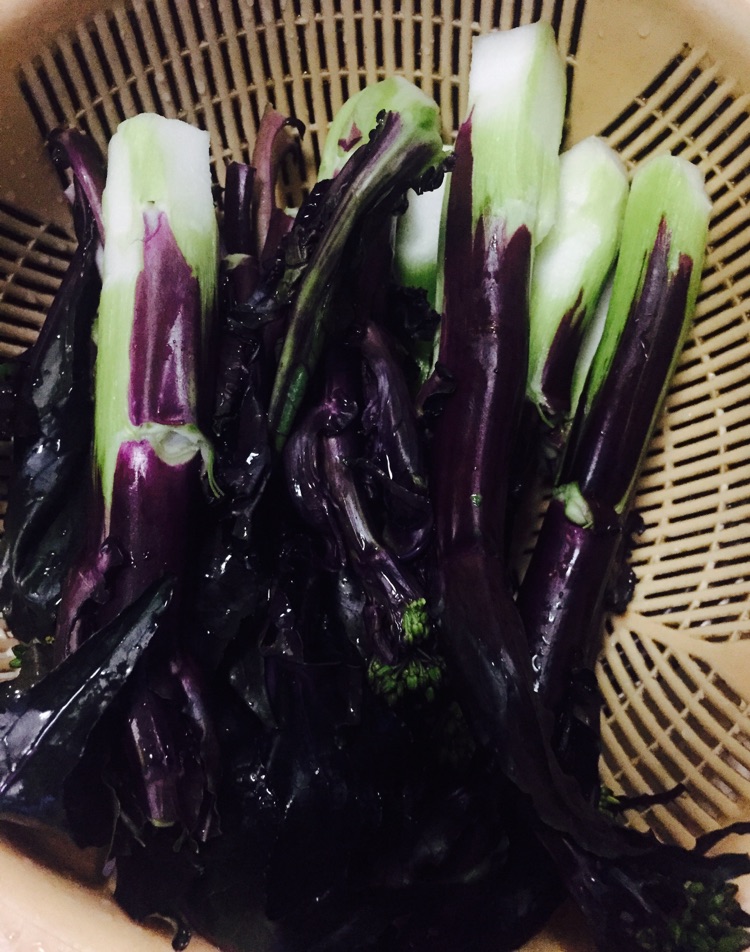家常紫菜苔