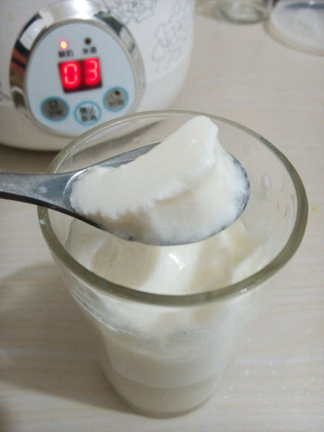 酸奶怎么做_酸奶的做法_豆果美食