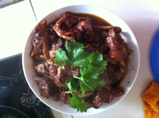 红烧鸭子
