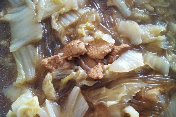 猪肉白菜炖粉条