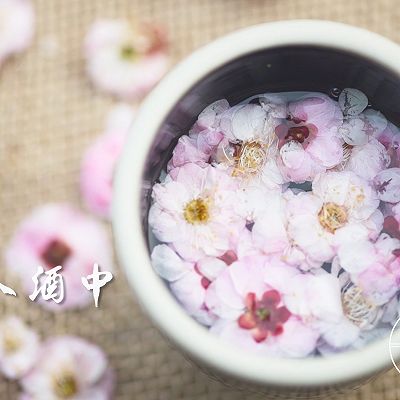 三生三世十里飘香的桃花醉 桃花羹