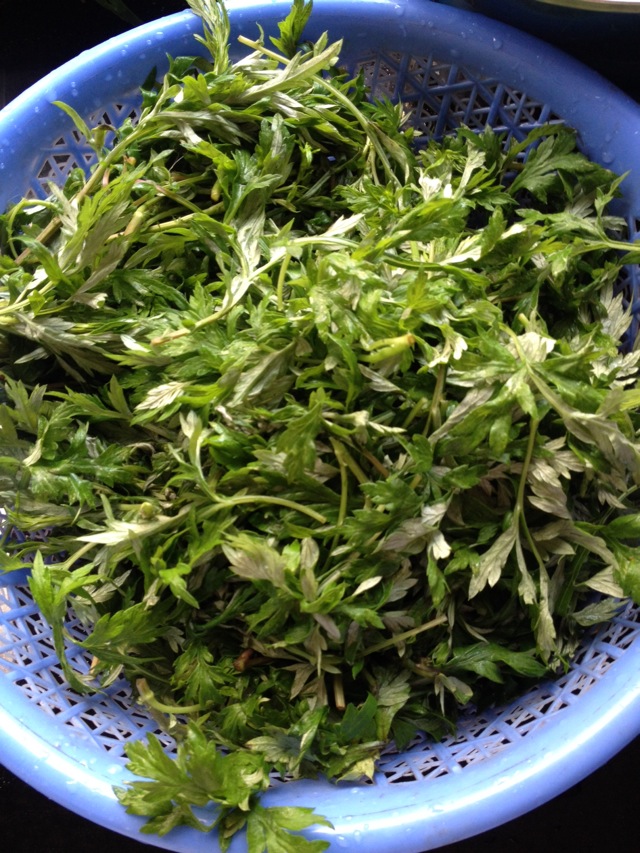 这份是清明节特有的野菜——"艾菜"
