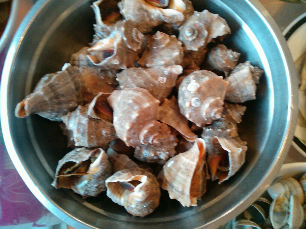 带壳海螺的做法-吃过的海螺壳怎样加工成工艺